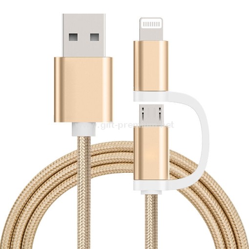 2 in 1 Charging Cable (Lightning and Micor 